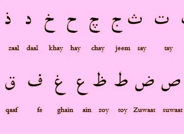 Arabic script letters on pink background
